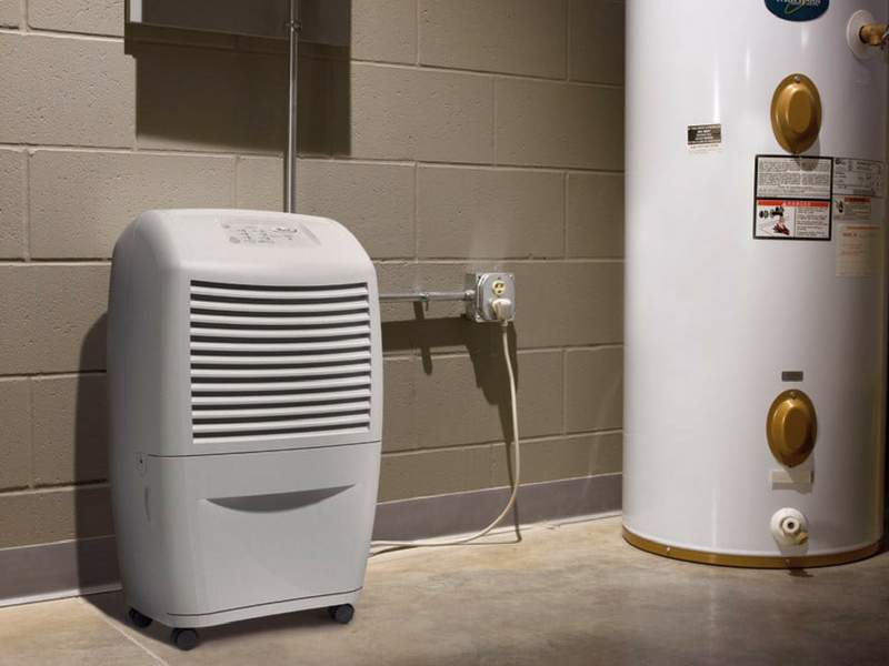 Dehumidifier-for-Basement